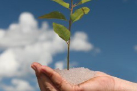 Grave seca ameaça agro no Brasil