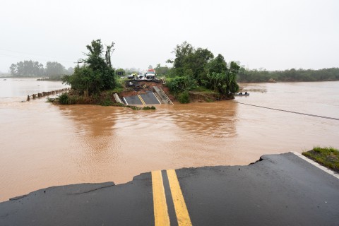 Enchentes afetam milhares de animais da pecuária no Rio Grande do Sul