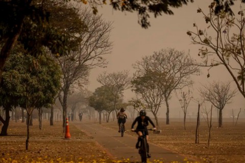 Entenda como se proteger e quais os principais danos à saúde causados pelas fumaças das queimadas no Brasil