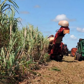 PIB do agronegócio brasileiro recua 0,94% em 2023